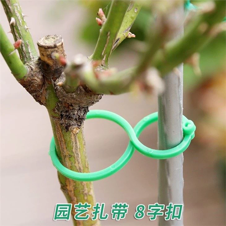 Gardening 8-shaped Buckle Cable Tie For Plants